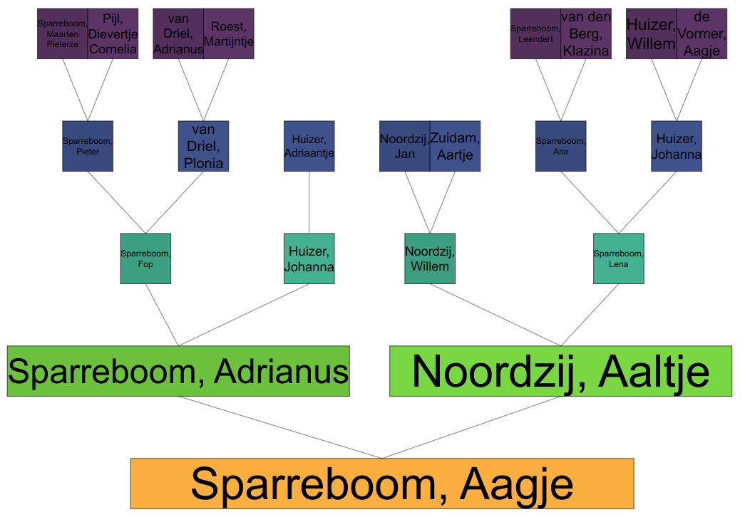 Interactieve stamboom